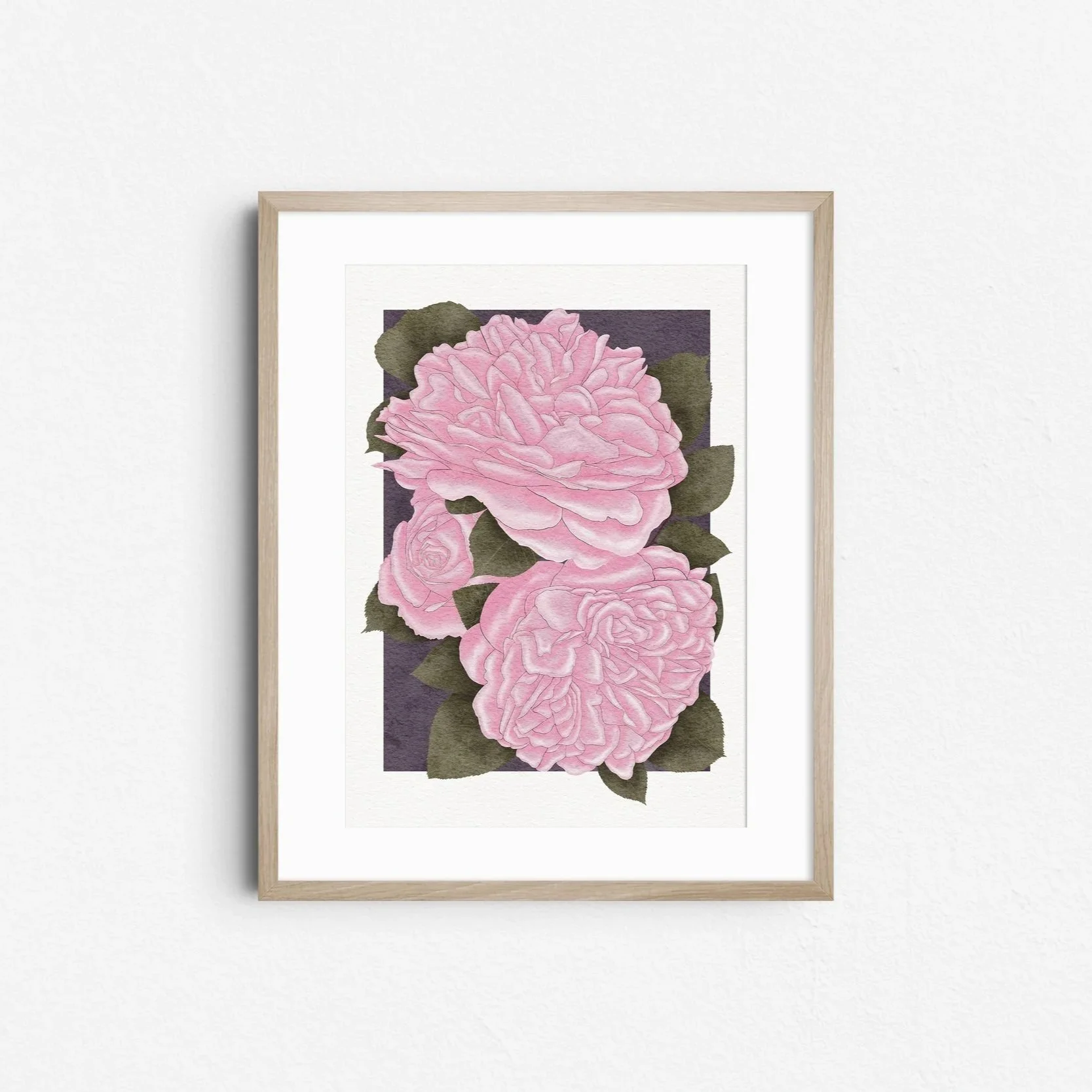 Pink Roses Botanical Art Print — LIZ GOVIER ART STUDIO